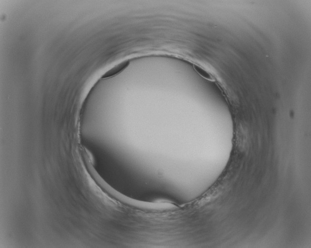 X0000061111524200512161400