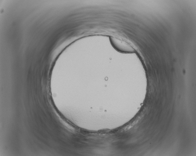 X0000061111525200512161400