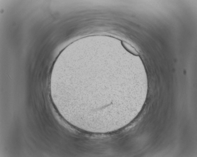 X0000061111526200512161400