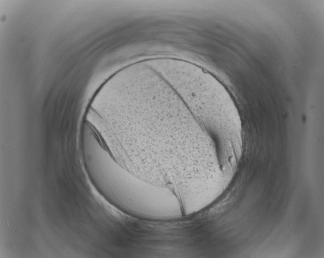 X0000061111527200512161400