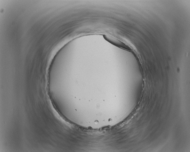 X0000061111528200512161400