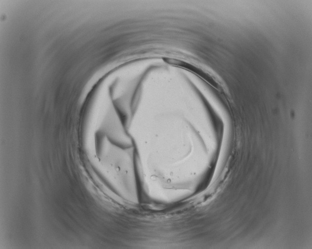 X0000061111530200512161401