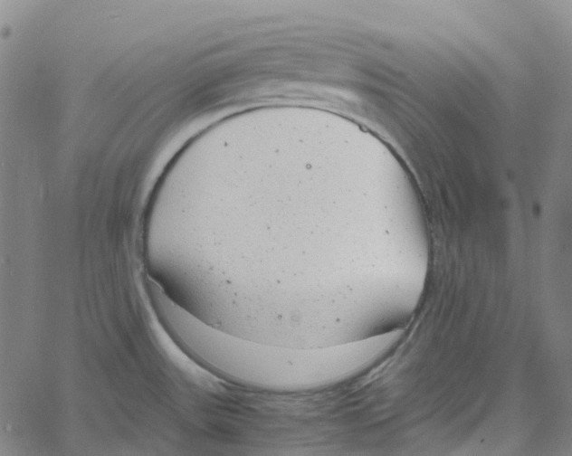 X0000061111531200512161401