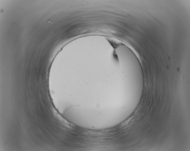 X0000061111532200512161401