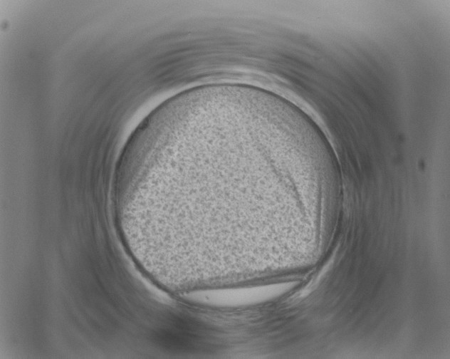 X0000061111533200512161401