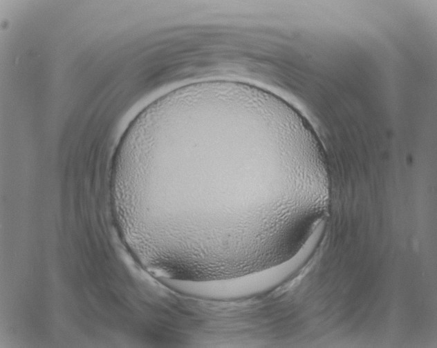 X0000061111534200512161401