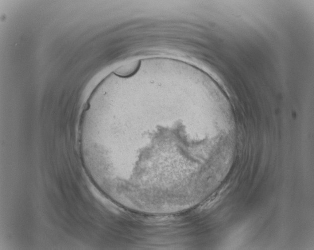 X0000061111535200512161401