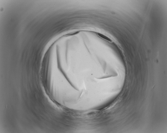 X0000061111536200512161401