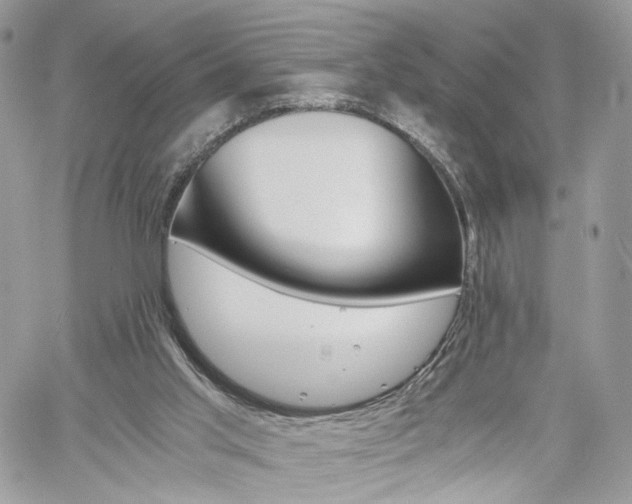 X0000061120013200511180921