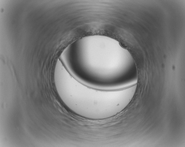 X0000061120039200511180920