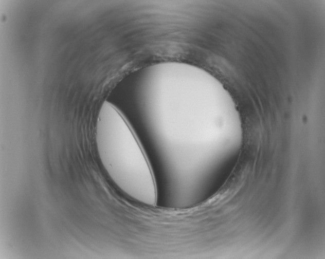 X0000061120040200511180920
