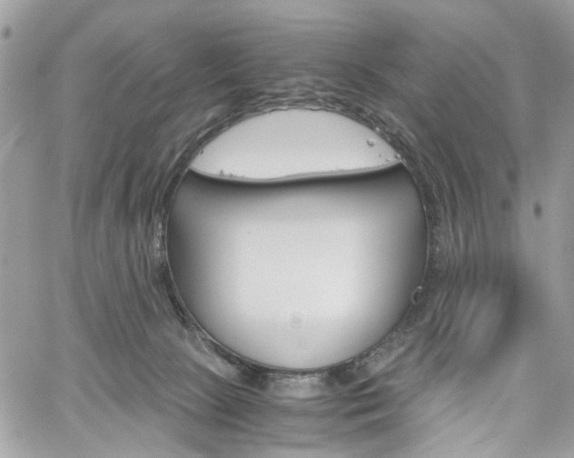 X0000061120081200511180920