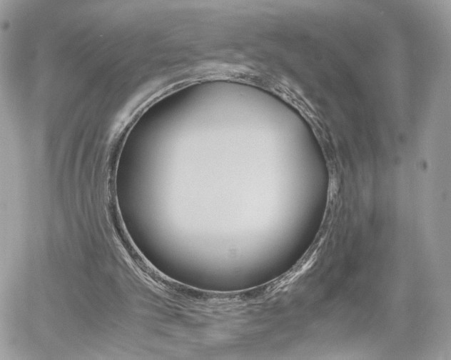 X0000061120101200511180919