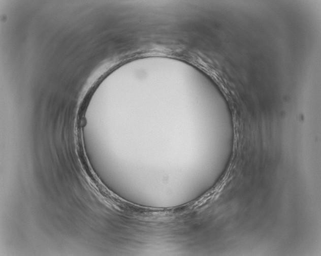 X0000061120102200511180919
