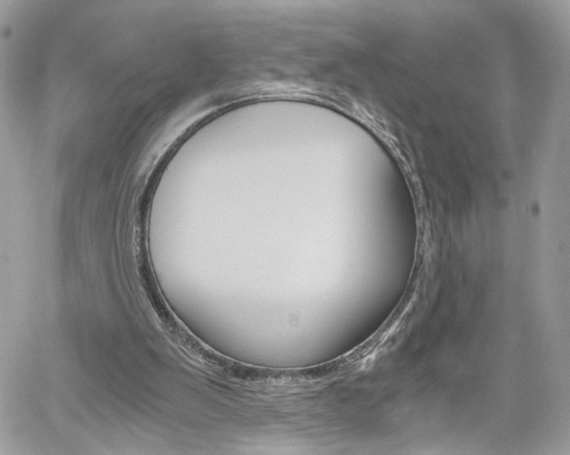 X0000061120103200511180919