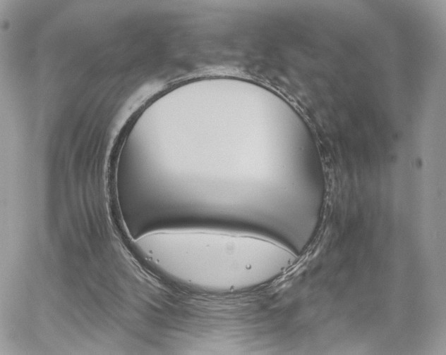 X0000061120104200511180919