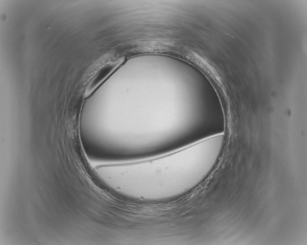 X0000061120105200511180919