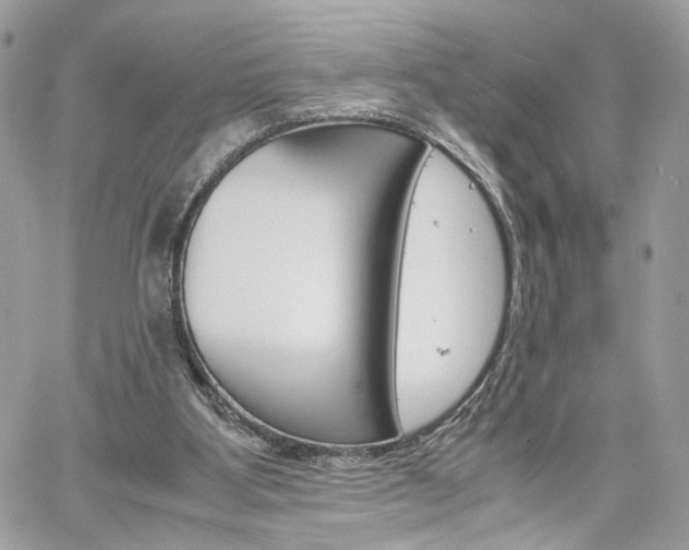 X0000061120107200511180919