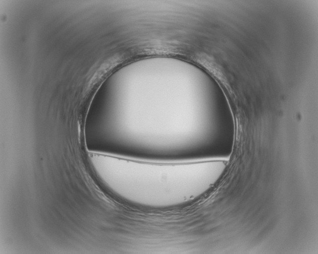 X0000061120109200511180919