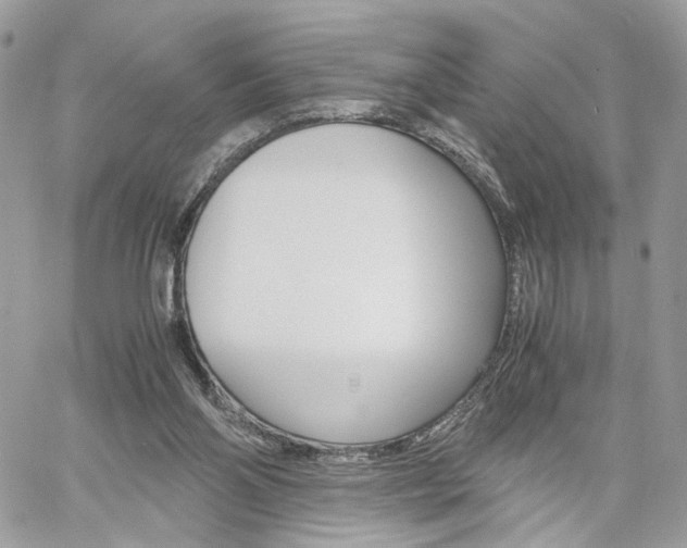 X0000061120110200511180919