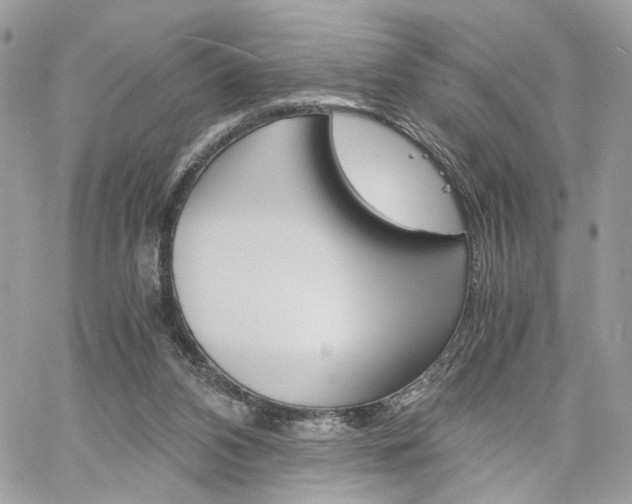 X0000061120112200511180919