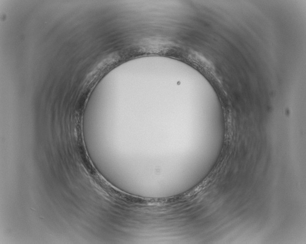 X0000061120114200511180919