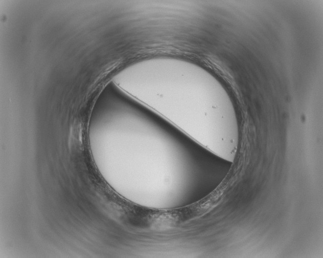 X0000061120115200511180919