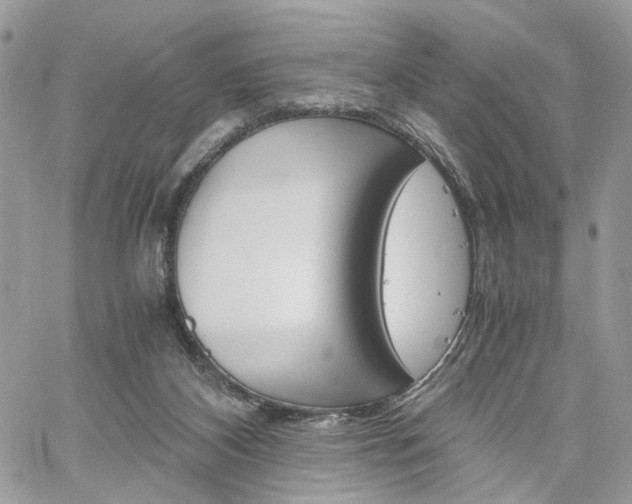 X0000061120116200511180919