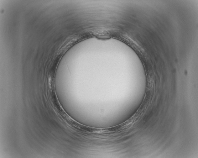 X0000061120117200511180919