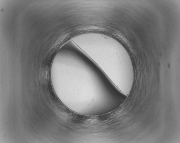 X0000061120119200511180919
