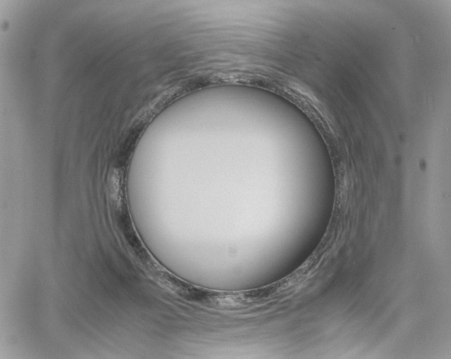 X0000061120121200511180919
