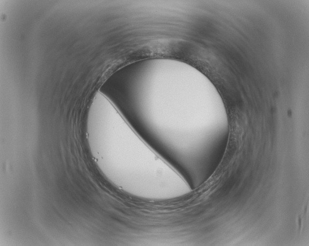 X0000061120123200511180919