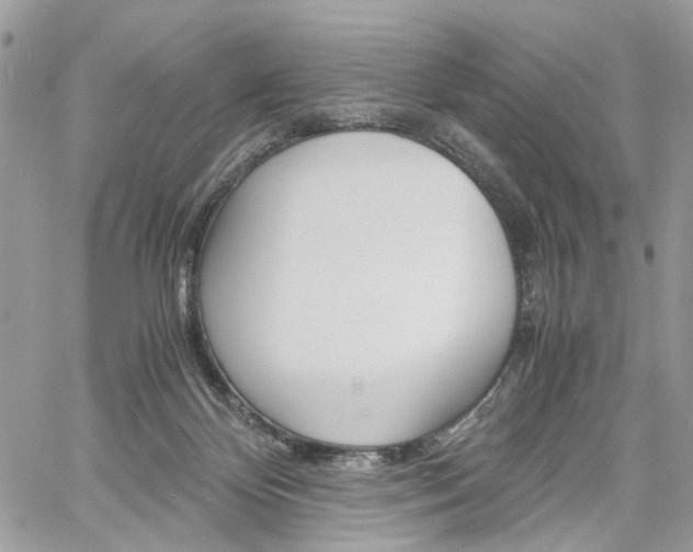 X0000061120124200511180919