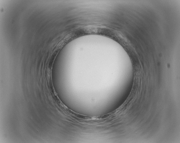 X0000061120125200511180919