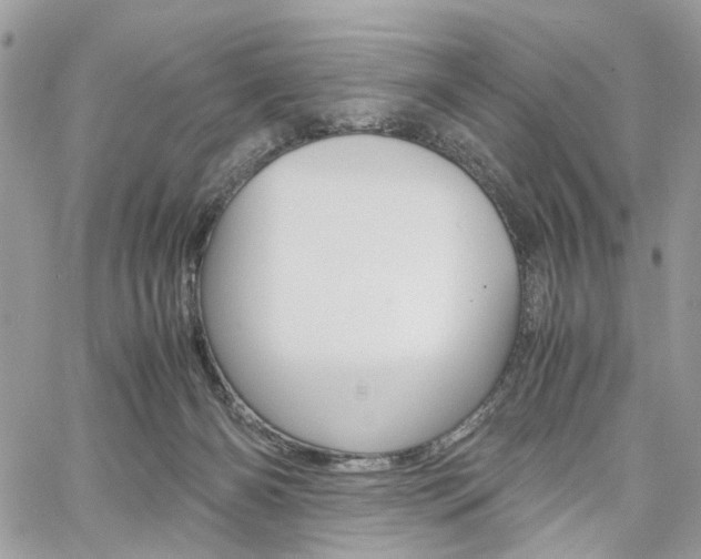 X0000061120126200511180919