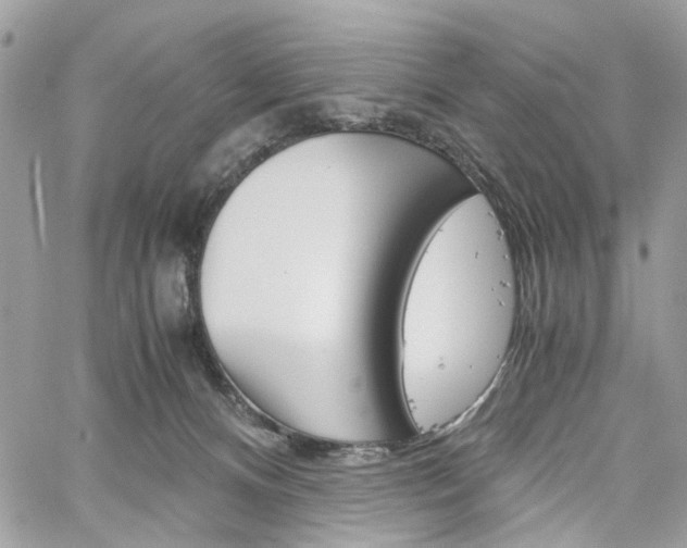 X0000061120128200511180919
