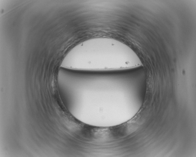 X0000061120132200511180919