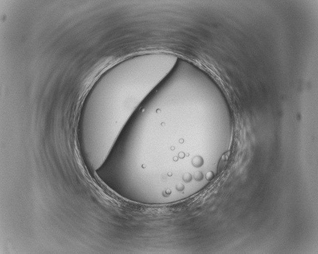 X0000061120145200511180918