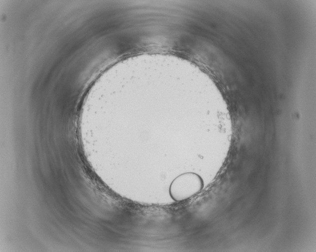 X0000061120146200511180918