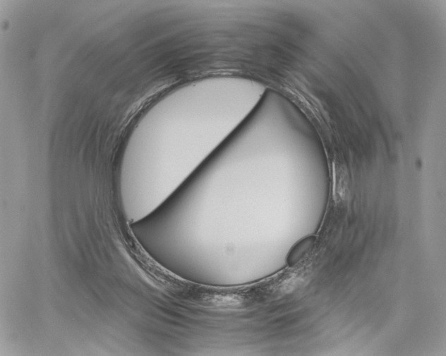 X0000061120157200511180918