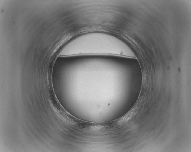 X0000061120158200511180918