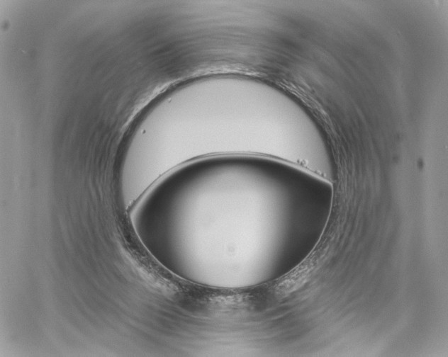 X0000061120160200511180918