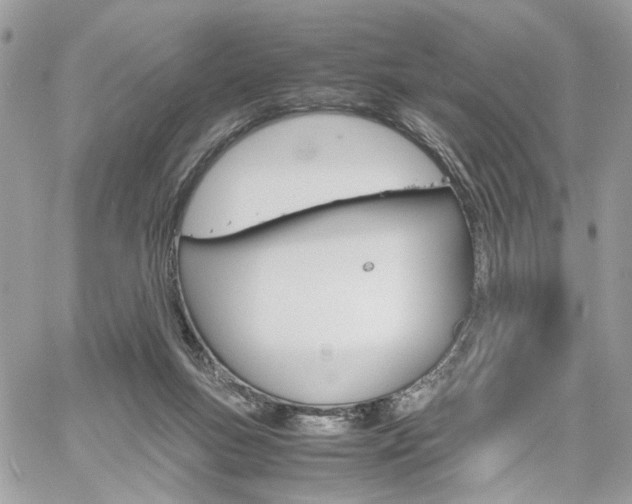 X0000061120167200511180918