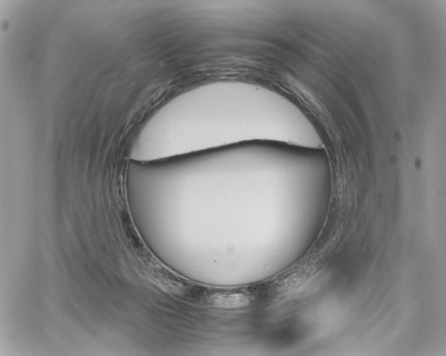 X0000061120169200511180918