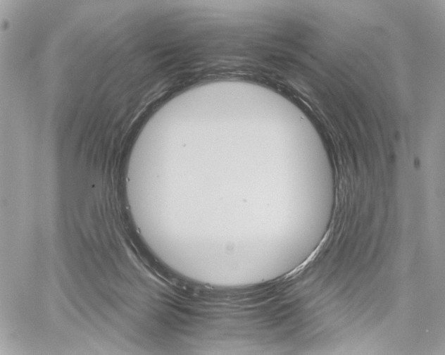 X0000061120171200511180918