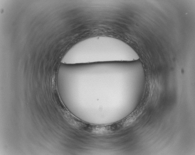 X0000061120177200511180918