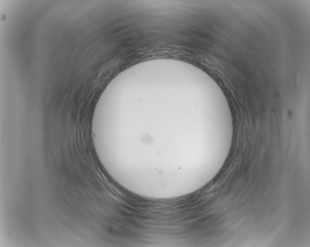 X0000061120185200511180918