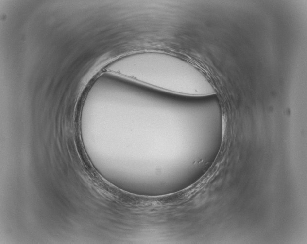 X0000061120195200511180918