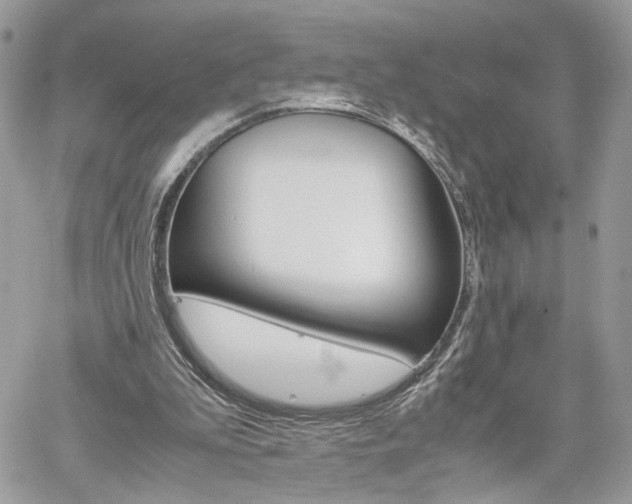 X0000061120199200511180918