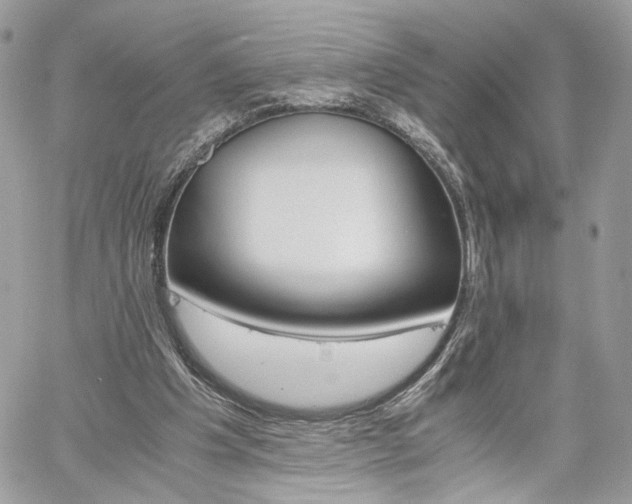 X0000061120201200511180918